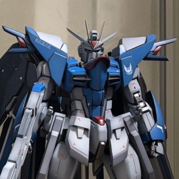 MG ライジングフリーダム