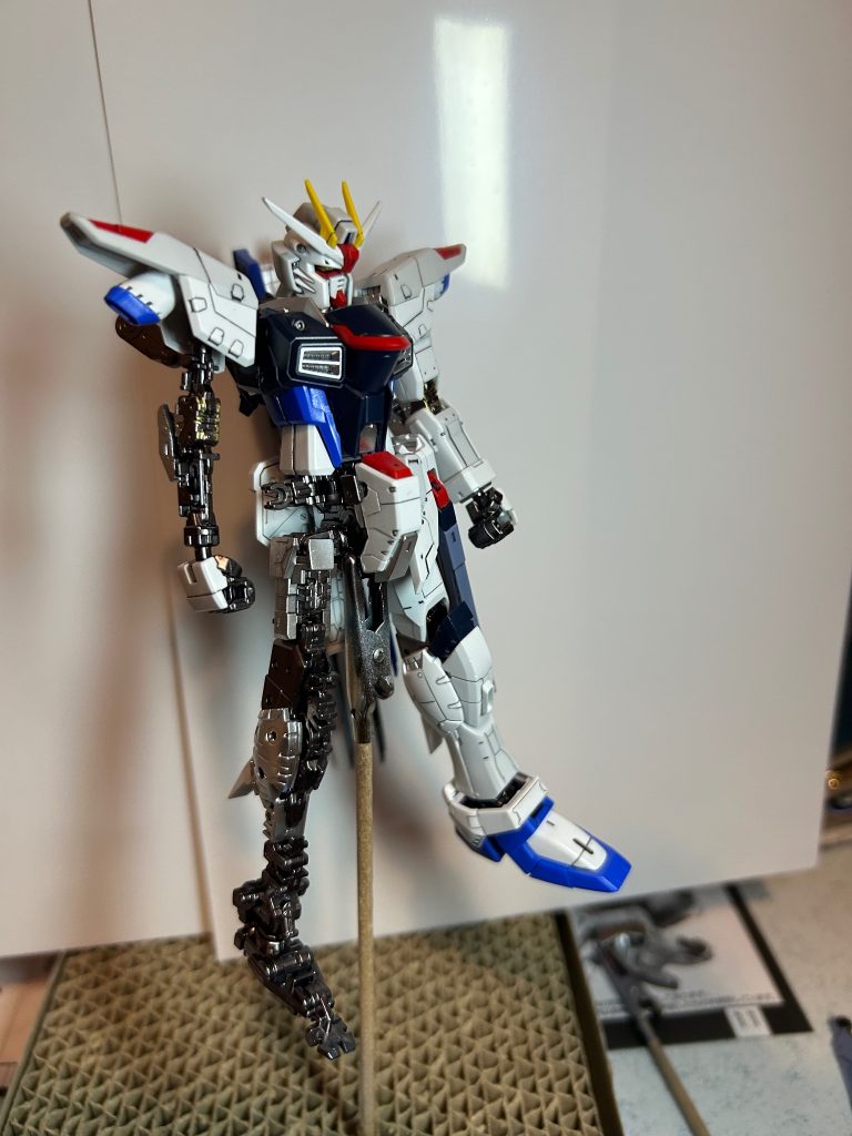 RGフリーダム光沢仕上げ