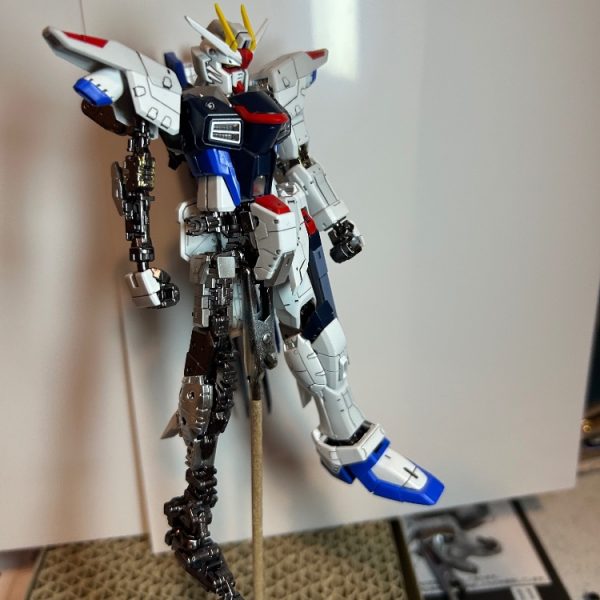 RGフリーダム光沢仕上げ