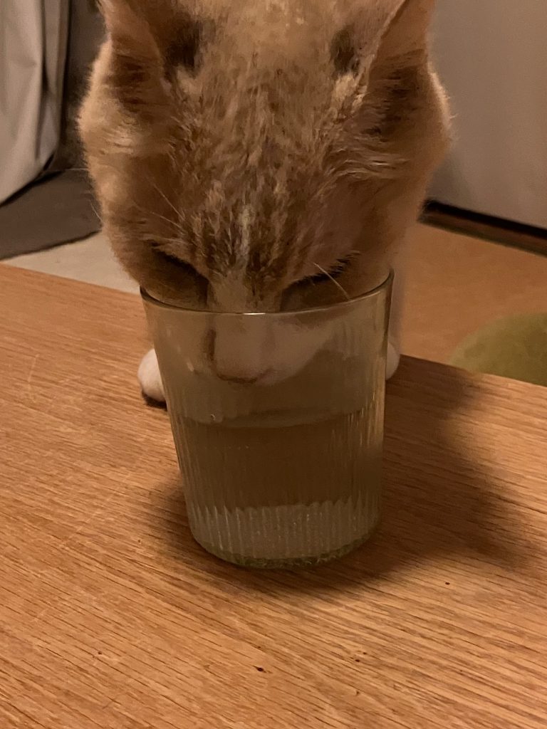 最後まで、ご覧いただきありがとうございましたm(_ _)m