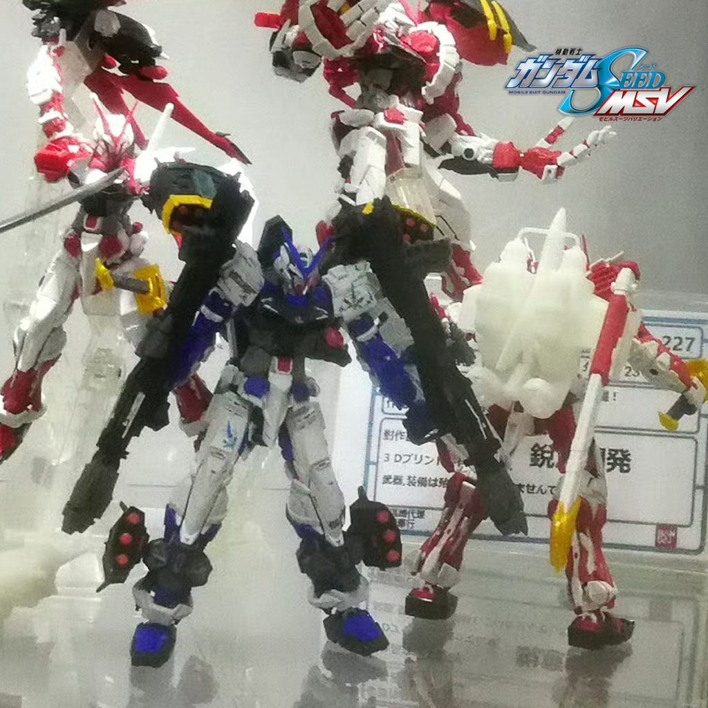 RG•ガンダムアストレイブルーフレーム(フルウェポン仕様)