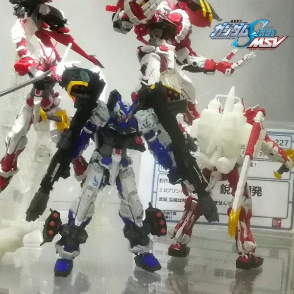 RG•ガンダムアストレイブルーフレーム(フルウェポン仕様)
