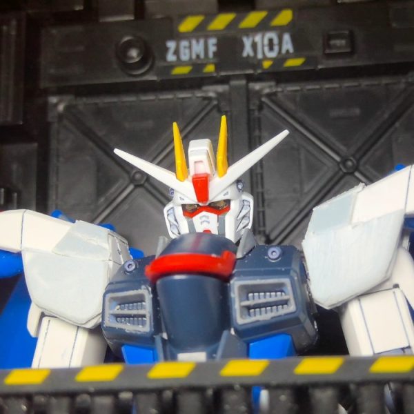 HGフリーダムガンダム改造途中だけどお遊び