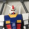 野生のガノタ