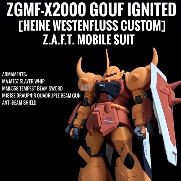 HGCE グフイグナイテッド(ハイネ・ヴェステンフルス機)