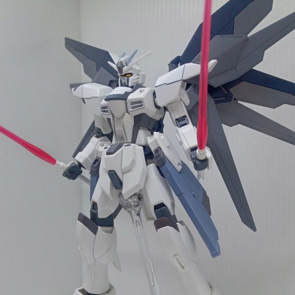 フリーダムガンダム ブランシェ