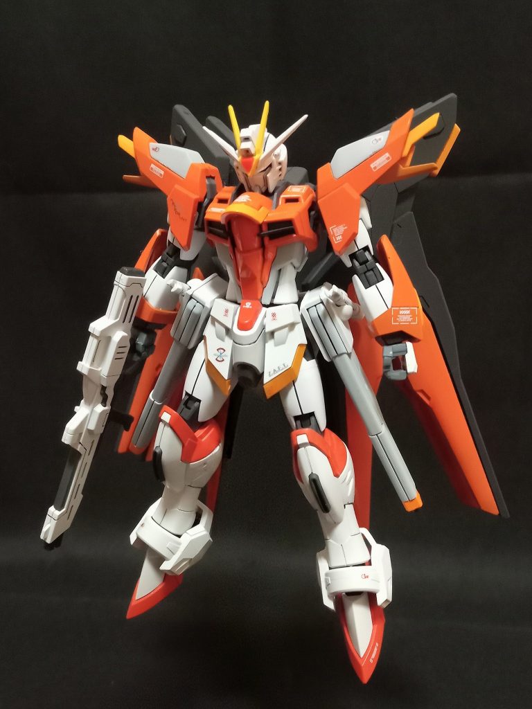 C.E.73対戦時、Z.A.F.Tアカデミーの優秀な候補生だった青年は、特別訓練に訪れたFAITHハイネから直接指導を受ける