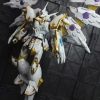 ヒゲダルマ