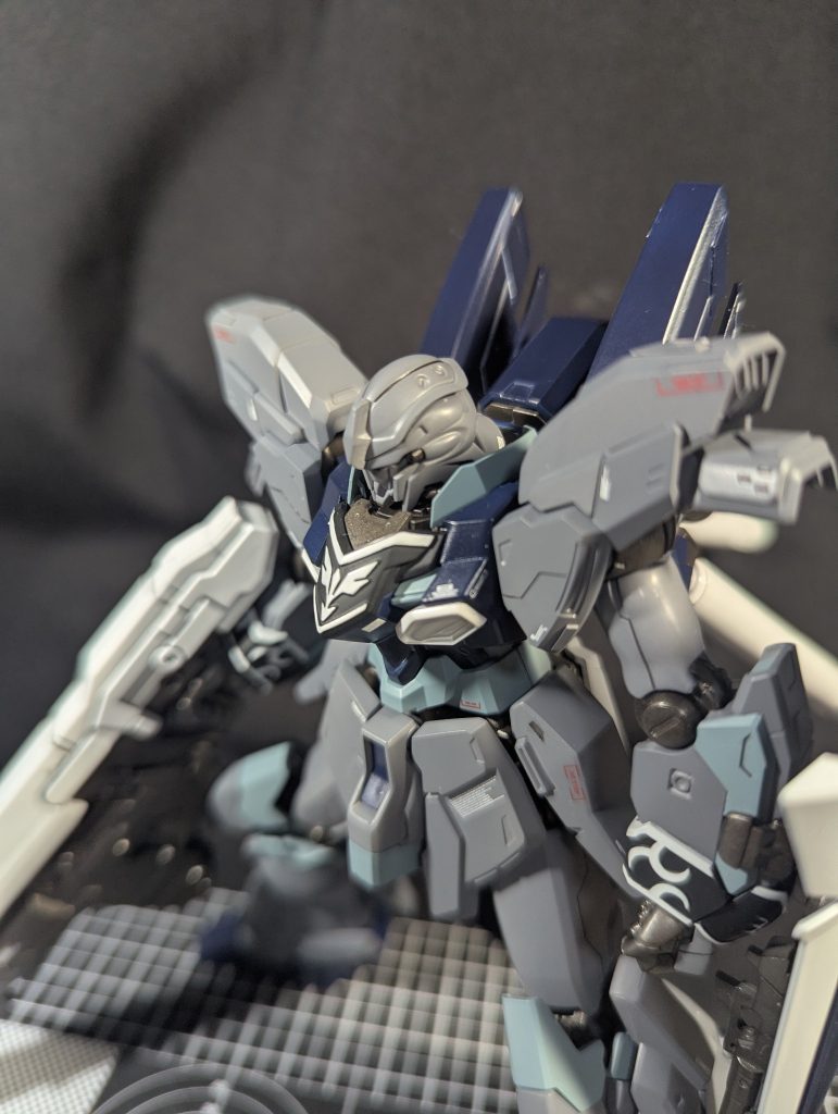 黒い服をバックにすれば即席の撮影スポットが作れるという動画を見たので挑戦してみました笑