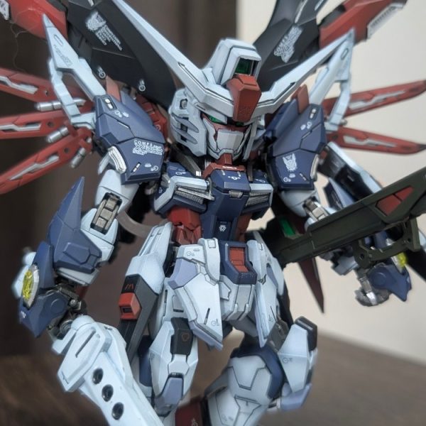 MGSD ディスティニー　SPEC2風