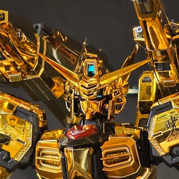 #19 RG ORB-01 AKATSUKI GUNDAM OOWASHI/SHIRANUI UNIT