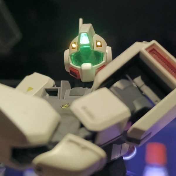 MG ジム 寒冷地仕様 LED組込