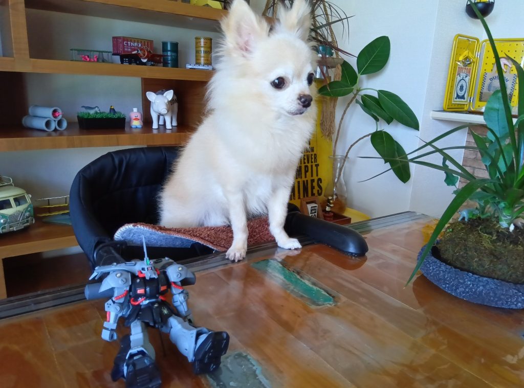 邪魔だなぁ…無視無視🐶