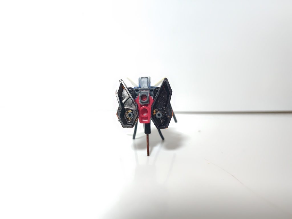 背中