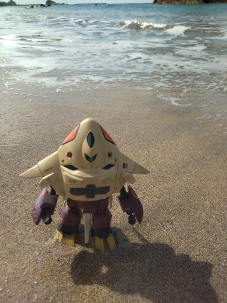 久しぶりに海に浸かりました。