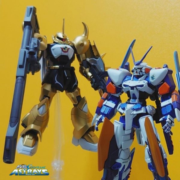 HG•ルドルフ専用•グフイグナイテッド