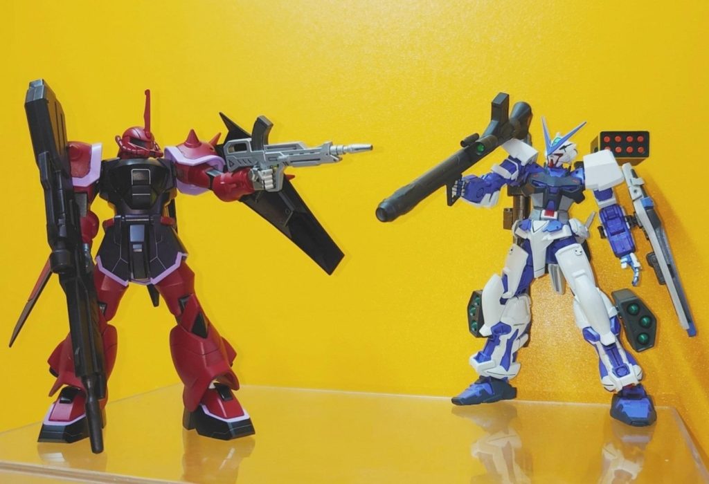 HG•エルザ専用•グフイグナイテッド–6枚目/制作者：risuisei