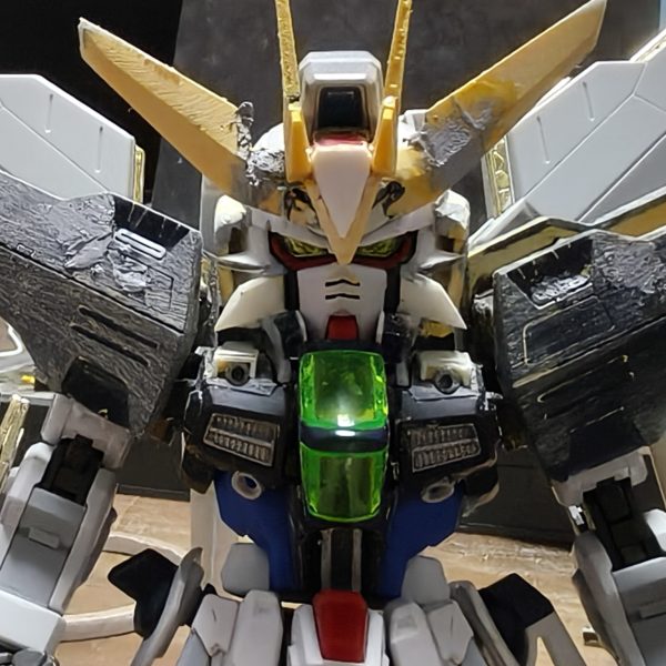 MGSDフリーダムをベースにしてHG1/144と旧1/100をミキシング頭部はフリーダムにプラ板とパテで肩、盾、リフレクターと脚、腕カバーは1/100からサテライトキャノンはHGに1/100の砲身を被せるようにして大型化胴体との接続はフリーダムの基部を移植して無理やりくっつけてます胸とサイドスカート、リアスカートはHG腰につけたサーベルはHGですが持たせるときには1/100ライフルはHGだと小さすぎる為1/100ただ、ジャンクで買った1/100に武器一式が付いてなかった為、自作&nbsp;（6枚目）