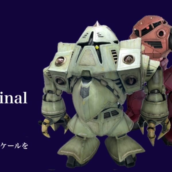 1/60 ZOCK