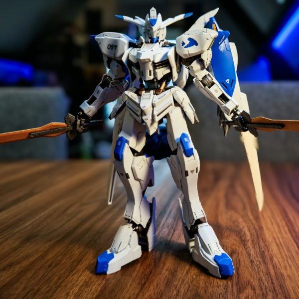 Bael FM ( fully painted inner frame)