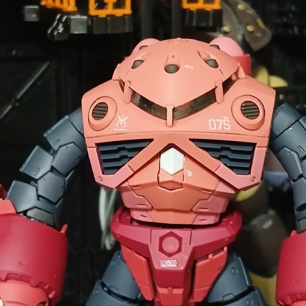 RGシャア専用ズゴックです