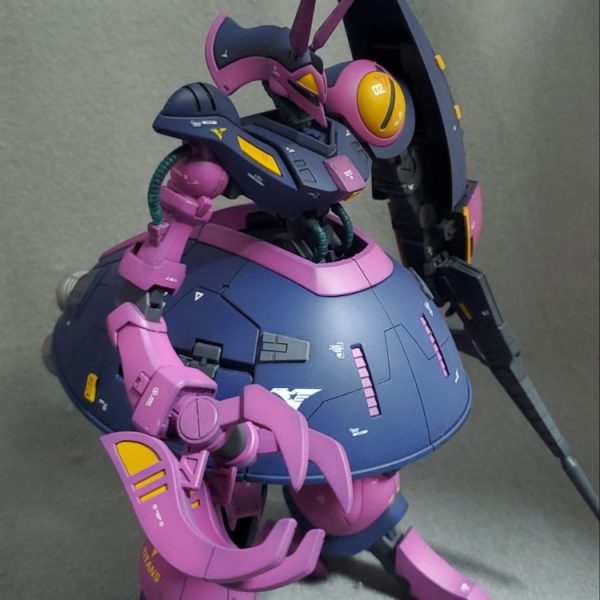 ＨＧ バウンド・ドック