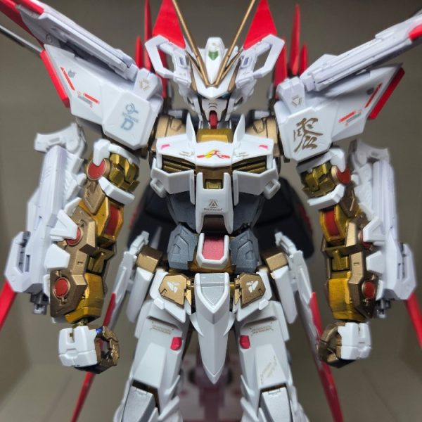 アストレイゴールドフレームD