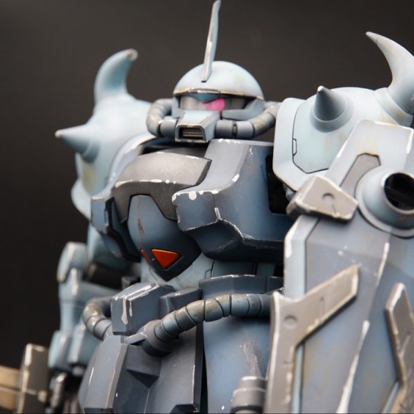 MG 1/100 グフカスタム