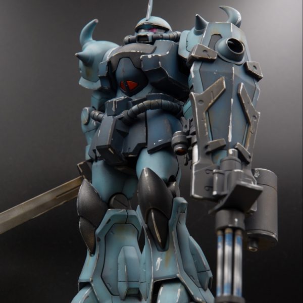 MG 1/100 グフカスタム