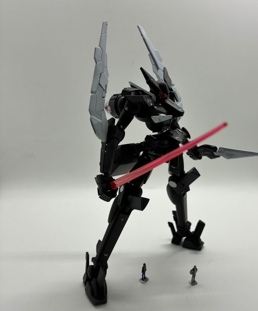 両腕に羽根らしきものを装着