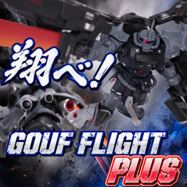 グフ・フライトプラス
