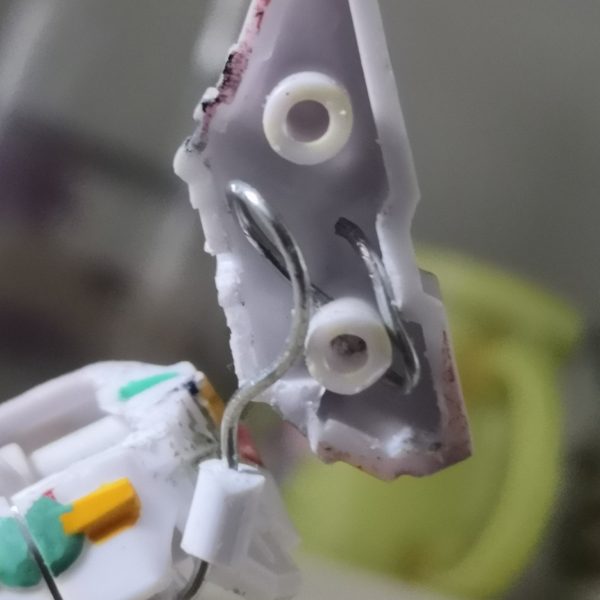 （5枚目）