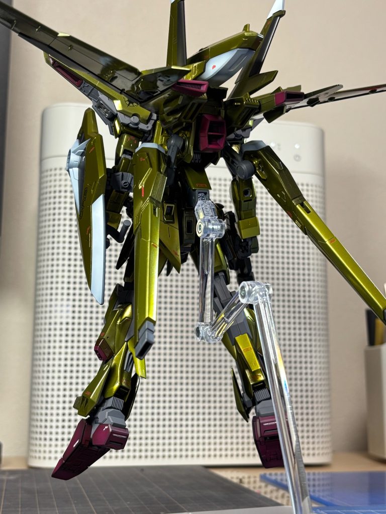 オオワシのバックショット！