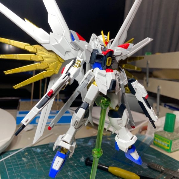 HG_マイティーストライクフリーダム　ちょっと製作中
