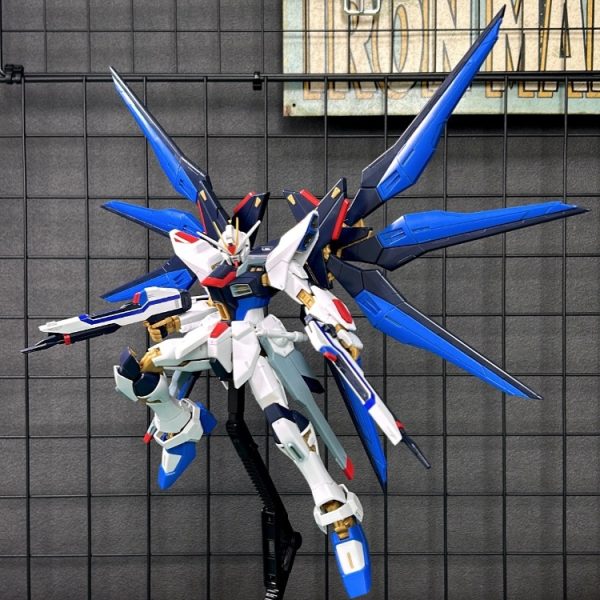 ZGMF-X20A ストライクフリーダム