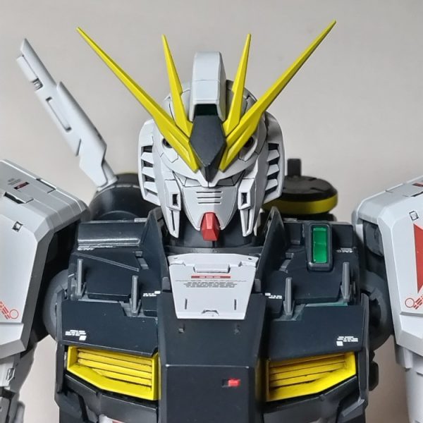 頭部拡大写真