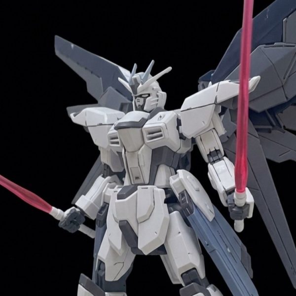 フリーダムガンダム ブランシェ