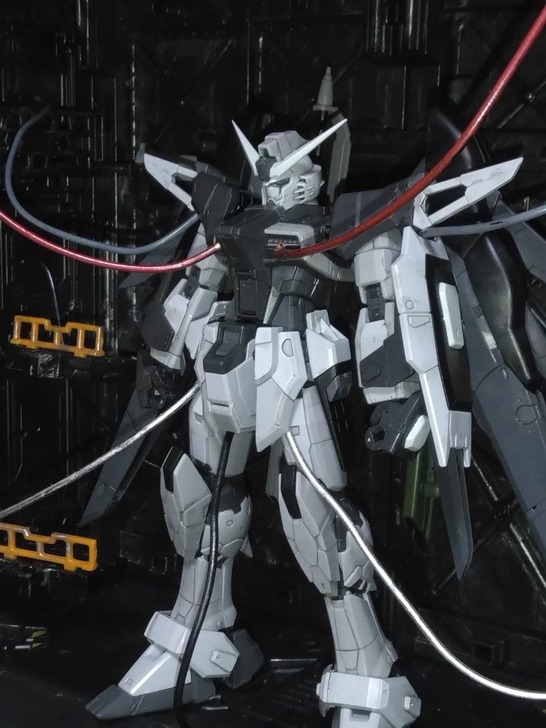 RG　デスティニーガンダム　ディアクティブモード格納状態再現–7枚目/制作者：GAND1010
