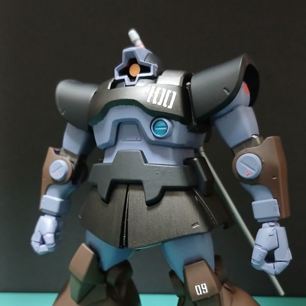 HGリックドム