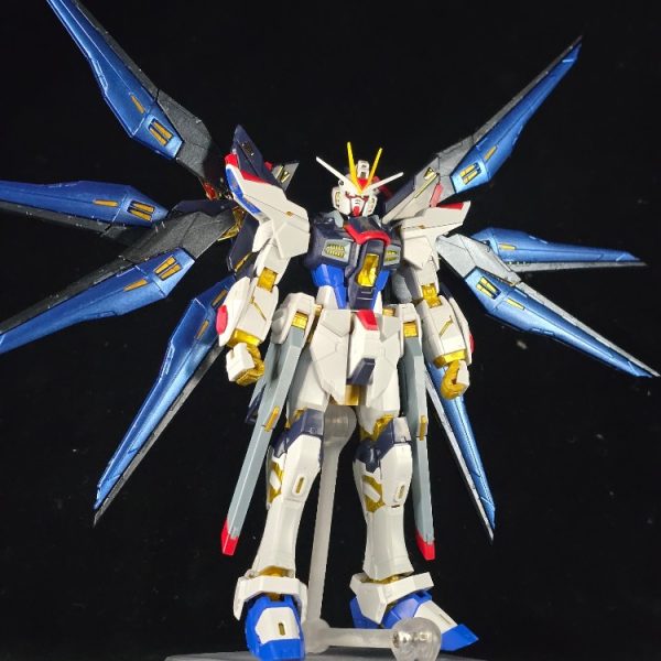 RGストライクフリーダムガンダム