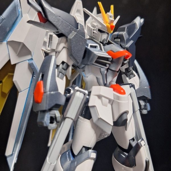 ライジングフリーダムガンダム ラディアンスグランジャー…？