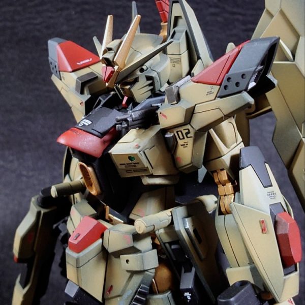 HG マイティーストライクフリーダム 陸戦型　全塗装