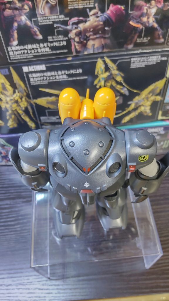 上から撮ると水中移動してるみたいで少しエモイです