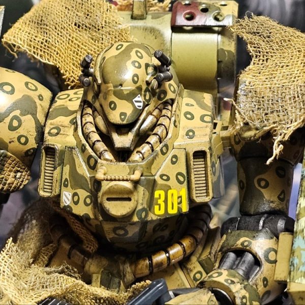 HGUC AMS-119(G) 陸戦型ギラドーガ