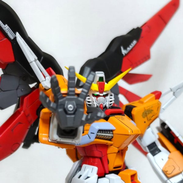 RG デスティニーガンダム ハイネ専用機