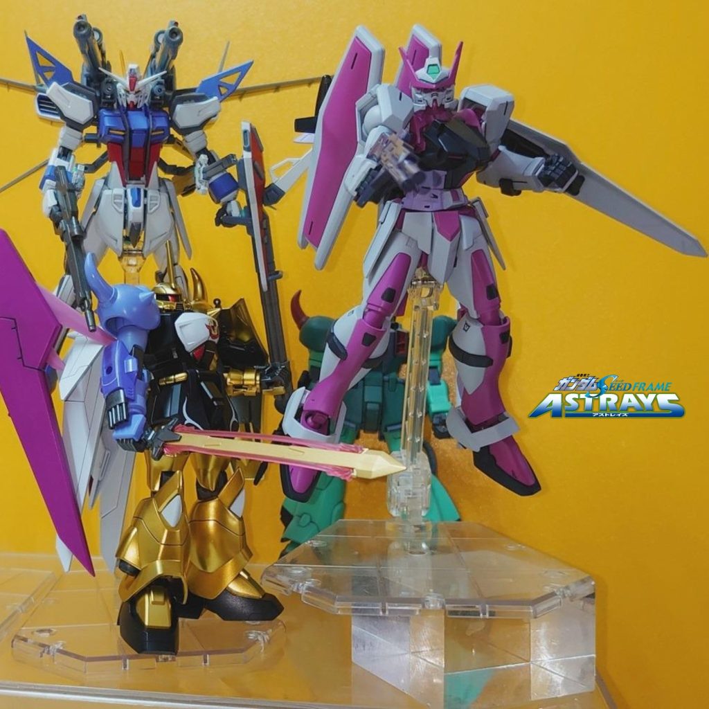 HG•レオンズ専用•アームズアストレイ•PMCカスタム