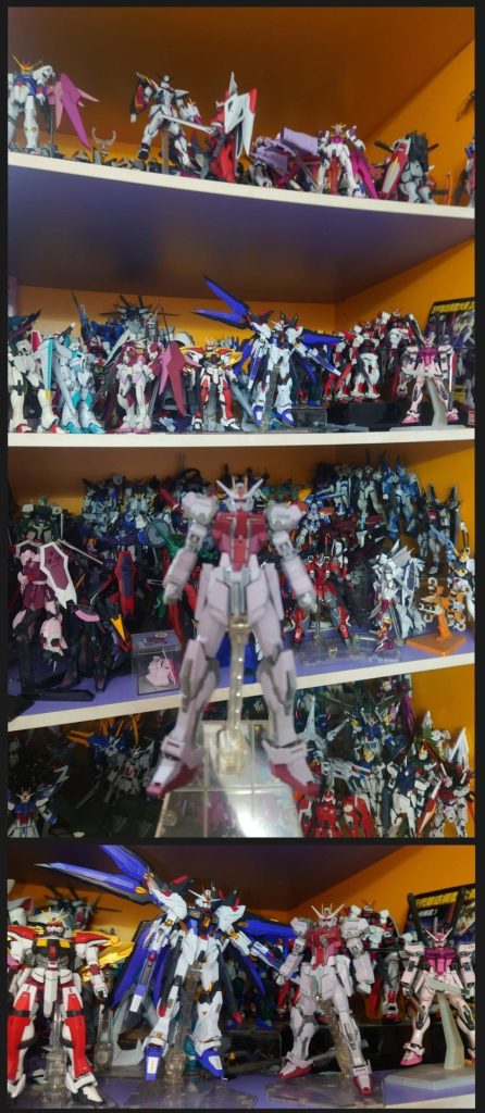 HGCE•1/144•ストライクルージュ(METAL BUILD風)–9枚目/制作者：risuisei