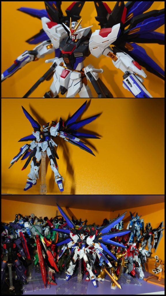 HGCE•ストライクフリーダムガンダム•METAL BUILD風–5枚目/制作者：risuisei