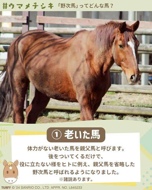 野次馬の定義? 『若い馬の後ろをついていくだけの老いた馬』 馬は集団行動をする動物ですが、歳をとって体力や権力を失った老いたオス馬(親父馬)は、先頭に立てず若い馬の後ろをただぞろぞろとついて歩くようになります。この姿を「自分では何もできないのに、他人の後ろにただくっついて回る人」に例えたとされています。『役に立たない馬』とイウ意味も含まれます。 歳をとった馬や、気性が荒く人間になつかない暴れ馬は、仕事に使えず役に立ちません。そこから「うるさく騒ぐだけで何の役にも立たない人」を指すようになったという説もあります。漢字の「野次馬」や「弥次馬」は当て字です。他人の言動に対してからかいや非難の言葉を浴びせることを「野次(ヤジ)を飛ばす」と言いますが、この「ヤジ」は野次馬が略されたものです(明治時代頃から使われ始めた)。(´-ω-)人