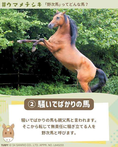 野次馬